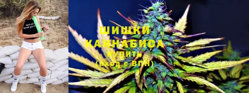 Конопля THC 21%  Новопавловск 